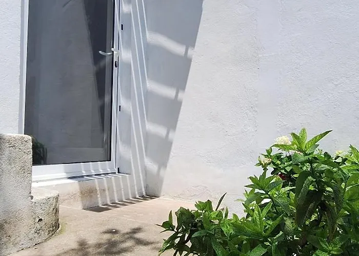 샬레 Daniel 라고아